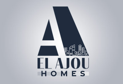 Profesional Real Estate Agent Logo Design